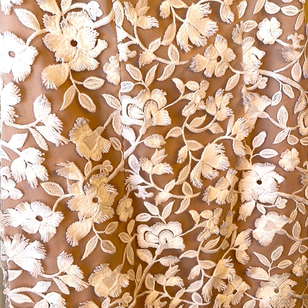 Aidan Maddox White Nude Sleeveless Chiffon Lace Dress Size 0 Retail $220 - Picture 7 of 12